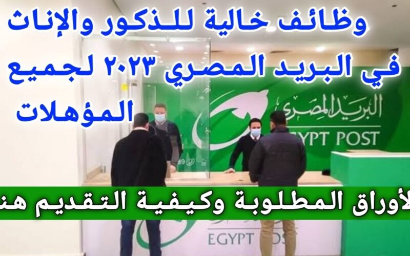 وظائف البريد المصري 2025 للمؤهلات العليا: الشروط والأوراق المطلوبة ورابط التقديم