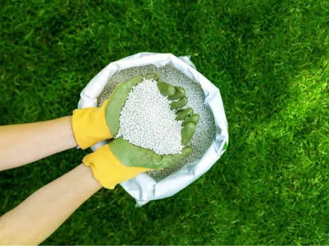 أسعار الأسمدة الزراعية اليوم في مصر 2025 أسعار الأسمدة الزراعية اليوم في مصر 2025