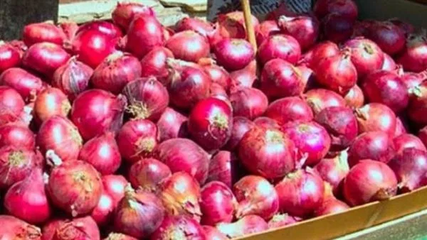 أسعار البصل اليوم في سوق العبور الآن بتاريخ الاحد 18 فبراير 2025 للمستهلك في مصر