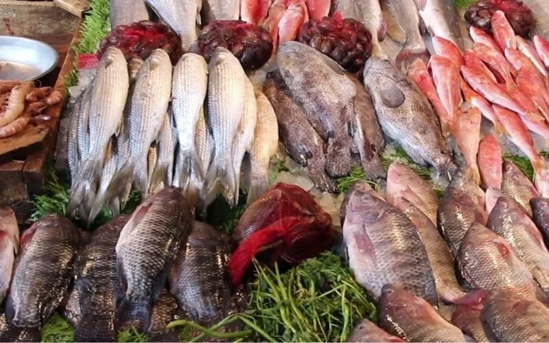 اسعار السمك اليوم الاثنين الموافق 12 فبراير 2024 في سوق العبور وأسواق التجزئة