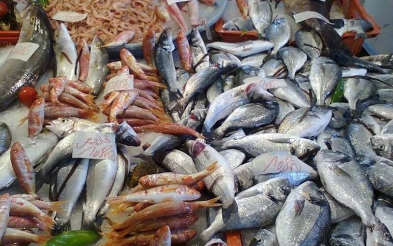 اسعار السمك اليوم الاربعاء 2024/2/7 للمستهلك في سوق العبور