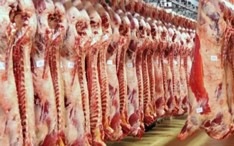 أسعار اللحوم اليوم الاثنين 5 فبراير 2024