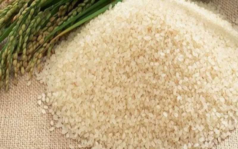 سعر طن الأرز الشعير اليوم الاثنين 12 فبراير 2024 للمُستهلك بالاسواق المحلية