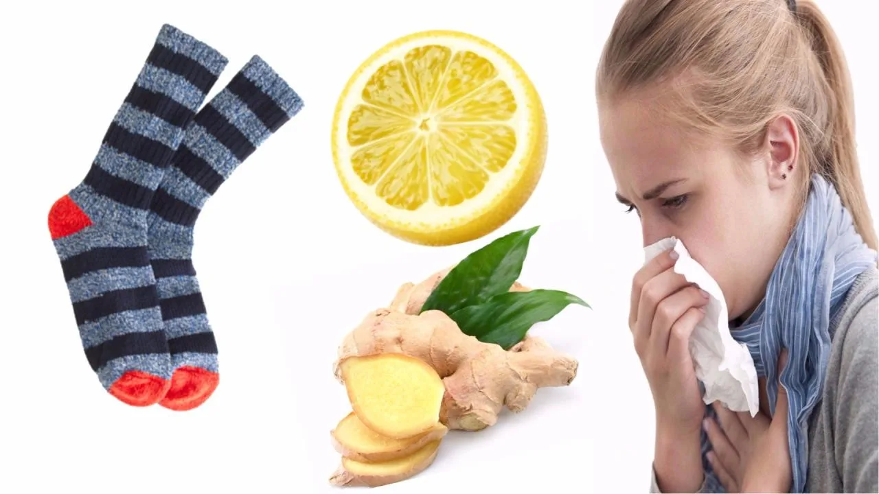 افضل علاج نزلات البرد بالاعشاب الطبيعية للأم المرضعة افضل علاج نزلات البرد بالاعشاب الطبيعية للأم المرضعة