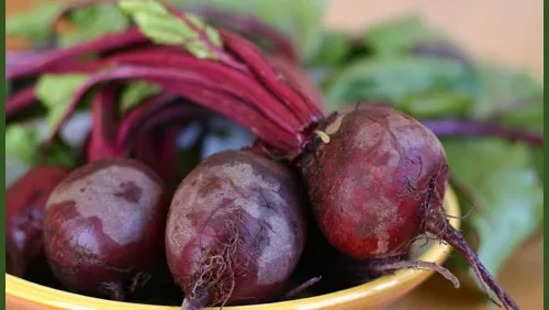 سعر طن البنجر اليوم 2025 في مصر