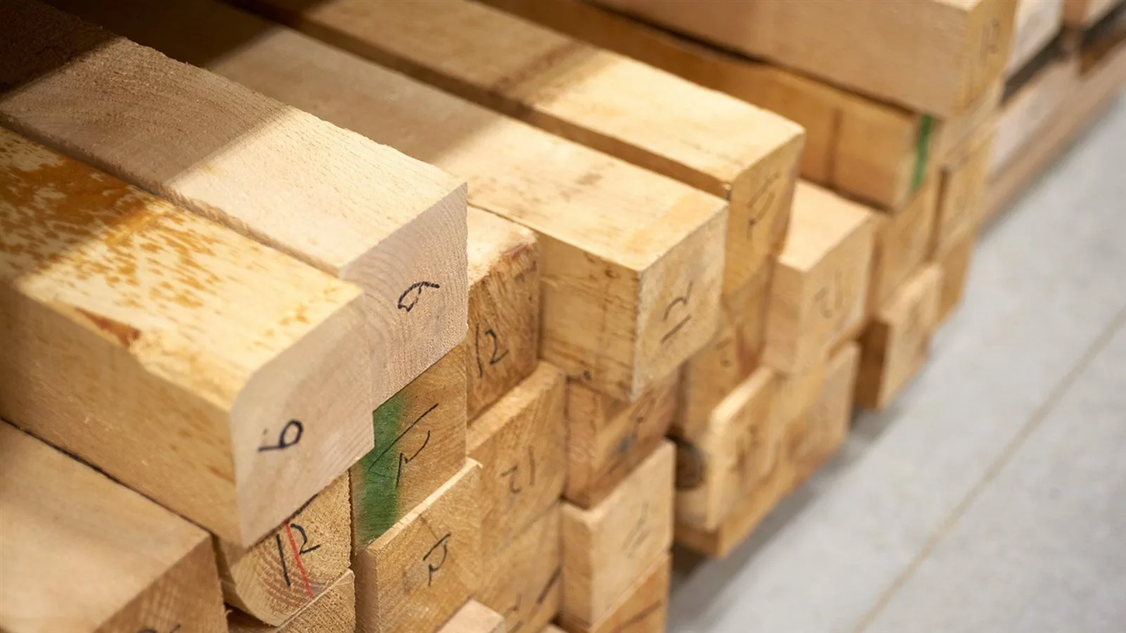 أسعار الخشب اليوم في مصر 2025