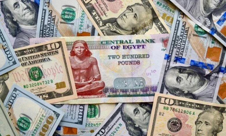 سعر الدولار الامريكي في البنوك المصريه الان مباشر بعد اجتماع المركزي