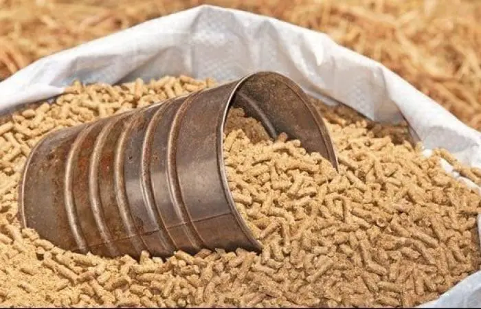 سعر شيكارة العلف 50 كيلو اليوم 2025