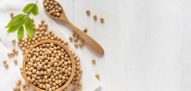 ما هى أفضل فوائد الصويا لزيادة الوزن ما هى أفضل فوائد الصويا لزيادة الوزن