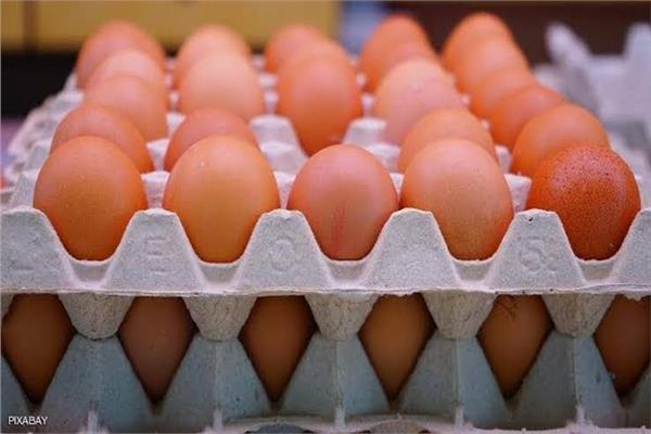 سعر كرتونة البيض اليوم الخميس 18 ابريل 2024 للمستهلك في الاسواق