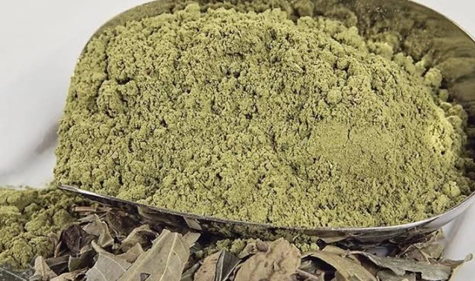 سعر كيلو السدر المطحون مع أماكن البيع في مصر 2025 سعر كيلو السدر المطحون مع أماكن البيع في مصر 2025