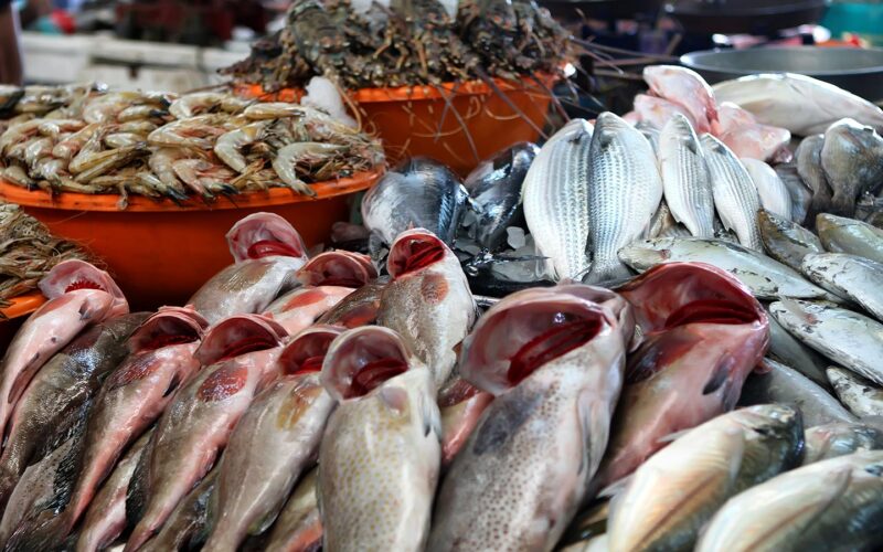 جدول اسعار السمك بعد المقاطعة اليوم الثلاثاء 30 أبريل 2024 في سوق العبور
