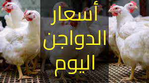 أسعار بورصة الدواجن اليوم الفراخ البيضاء الجمعة 26 أبريل 2024 وبجميع الأسواق المصرية