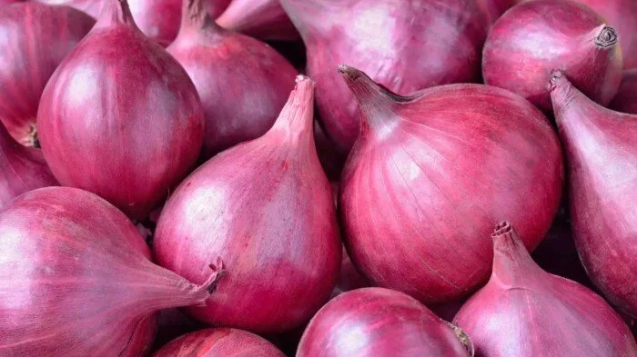 حقيقة تصدير البصل بكام مصري للسعودية والدول المسموح دخولها