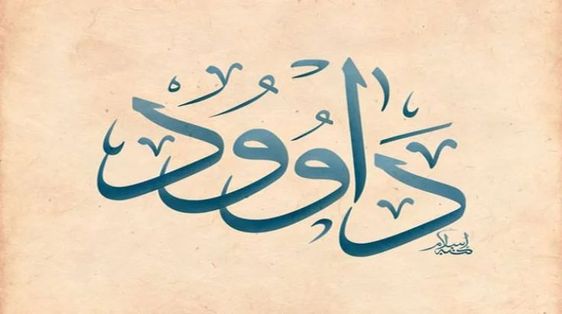 معني اسم داود