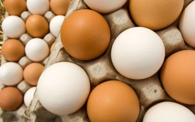 سعر كرتونة البيض اليوم للمستهلك الخميس الموافق 2 مايو 2024 في المحلات التجارية