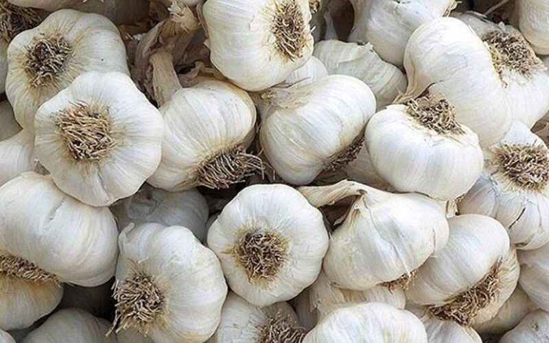 سعر كيلو الثوم الجديد اليوم الجمعة 10 مايو 2025 في سوق العبور