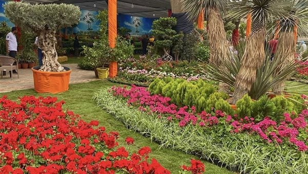 في الاسبوع القادم.. معرض زهور الربيع وتاريخ نشاة المعرض ومكان افتتاحه