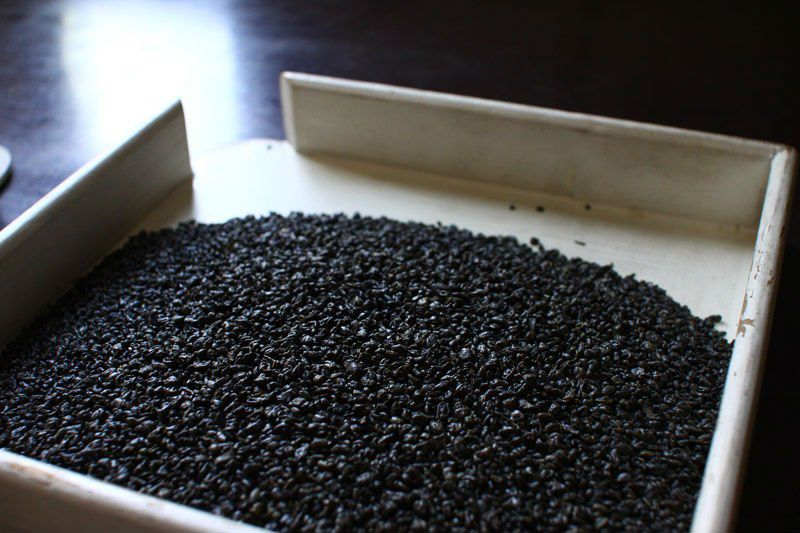 تفسير حلم البارود في المنام لابن سيرين تفسير حلم البارود في المنام