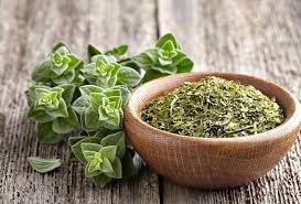 تفسير الزعتر في المنام تفسير الزعتر في المنام