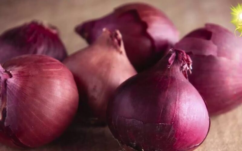 سعر البصل الاحمر اليوم الأحد 19 مايو 2025 في سوق العبور للمستهلك