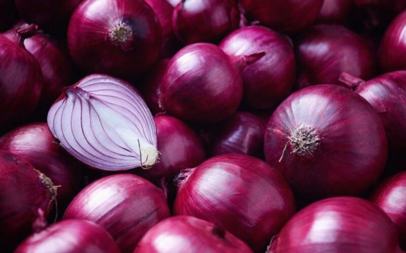 سعر البصل الاحمر اليوم الأربعاء 1 مايو 2025 في الأسواق للمستهلك