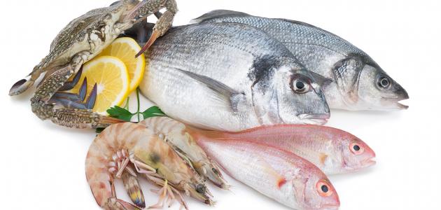 تفسير حلم السمك الكبير في المنام لابن سيرين