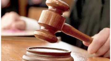 ضربه بالبلطة على رأسه.. السجن 7 سنوات لعامل أنهى حياة والده في الدقهلية