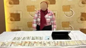 التحقيق مع خادمة لاتهامها بسرقة سيدة أجنبية في الشروق