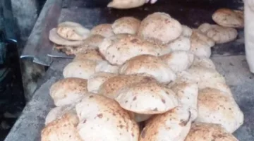 ضبط مخابز بلدية مخالفة وعبوات غذائية منتهية الصلاحية ومواد بترولية قبل بيعها بالسوق السوداء بالبحيرة