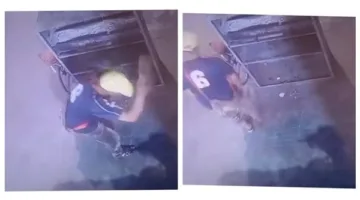 كانت نايمة ومأذتش حد.. فيديو قتل شاب لـ قطة يثير غضب السوشيال ميديا