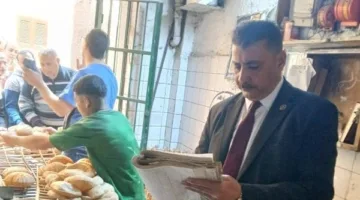 ضبط 45 كرتونة رنجة مجهولة المصدر وتحرير 210 محاضر تموينية بالمنوفية