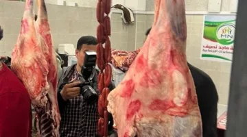 يؤدي لزيادة أسعار اللحوم.. نقيب الفلاحين: ارتفاع كبير بأسعار التبن وأطالب بوقف تصديره