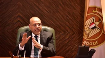 هل تقدمت شركات بطلب التماس لعدم تطبيق الحد الأدنى للأجور بعد زيادته؟.. وزير العمل يرد