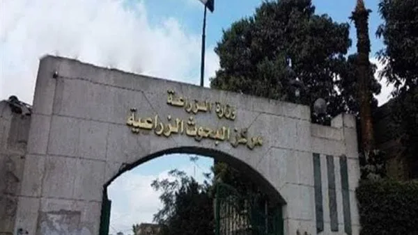 البحوث الزراعية: صياغة الخريطة الموسمية بما يتناسب مع الظروف المناخية البحوث الزراعية: صياغة الخريطة الموسمية بما يتناسب مع الظروف المناخية