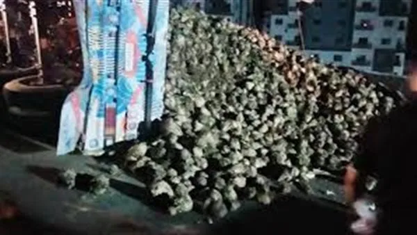 دون إصابات.. انقلاب سيارة نقل محملة بـ البنجر بالطريق الصحراوي في سوهاج دون إصابات.. انقلاب سيارة نقل محملة بـ البنجر بالطريق الصحراوي في سوهاج