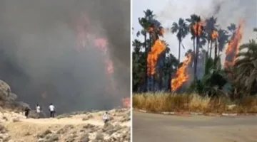 حرائق متعددة تضرب مناطق في إسرائيل.. ورجال الإطفاء يواجهون صعوبات في إنقاذ المتنزهين