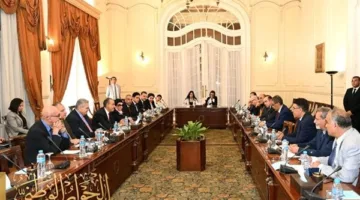 وزير الخارجية: مصر تواجه تحديات جسيمة.. والاصطفاف الشعبي حول القيادة السياسية ركيزة أساسية لحماية الدولة ومصالحها العليا