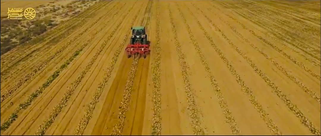 مشروعات جهاز مستقبل مصر