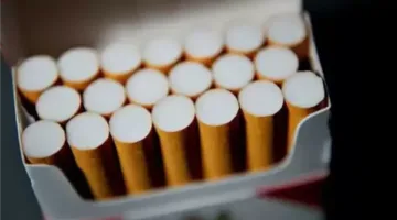 شعبة الدخان: زيادة مرتقبة في أسعار السجائر بحد أقصى 12% نوفمبر المقبل