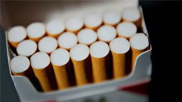 حقيقة تحريك أسعار السجائر الأجنبية والشعبية في الأسواق بعد زيادة البنزين حقيقة تحريك أسعار السجائر الأجنبية والشعبية في الأسواق بعد زيادة البنزين