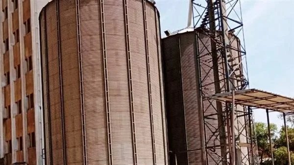 استمرار توريد كميات القمح لموسم الحصاد الحالي للصوامع بأسوان استمرار توريد كميات القمح لموسم الحصاد الحالي للصوامع بأسوان