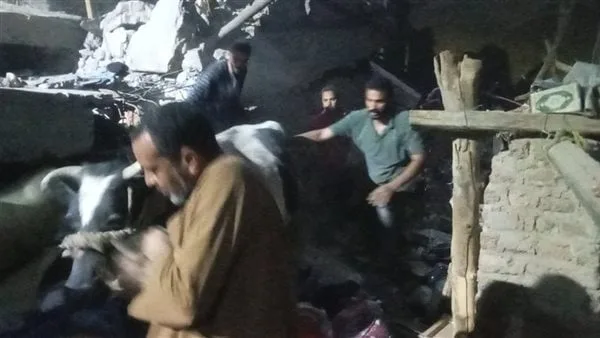 استخراج مواشي وأغنام من تحت انقاض عقار أسيوط المنهار استخراج مواشي وأغنام من تحت انقاض عقار أسيوط المنهار