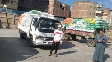 مديرية تموين كفر الشيخ: استلام 22409 طن قمح لموسم 2025 في 26 موقعًا