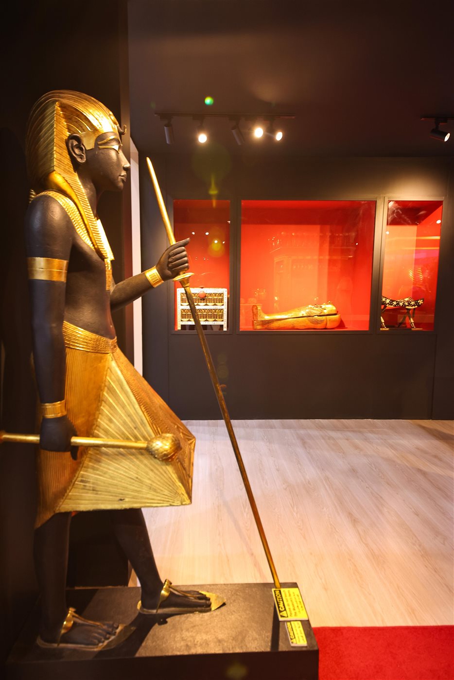 الجناح المصري 