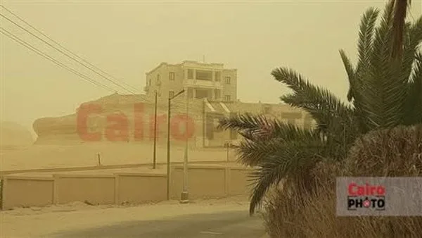 مصدر بمحافظة القاهرة: استقرار الأحوال الجوية بأغلب المناطق.. ورفع درجة الاستعداد بجميع غرف العمليات مصدر بمحافظة القاهرة: استقرار الأحوال الجوية بأغلب المناطق.. ورفع درجة الاستعداد بجميع غرف العمليات