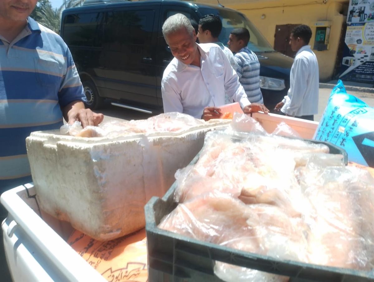 حملات مكثفة لتموين الأقصر 