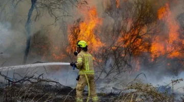 حرائق إسرائيل تفضح تضليل نتنياهو وإيدي كوهين.. أرقام مضخمة وفيديو مفبرك لتأجيج الرأي العام