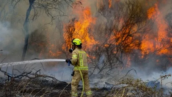 حرائق إسرائيل تفضح تضليل نتنياهو وإيدي كوهين.. أرقام مضخمة وفيديو مفبرك لتأجيج الرأي العام