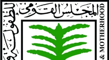 القومي للطفولة يكلف وحدة الدعم النفسي بعقد جلسات لـ ياسين تلميذ دمنهور وأسرته بمحل إقامتهم